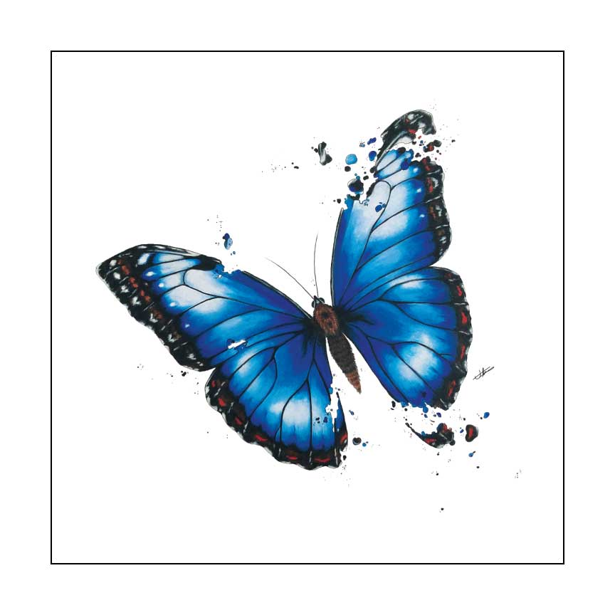 Morpho Butterfly 