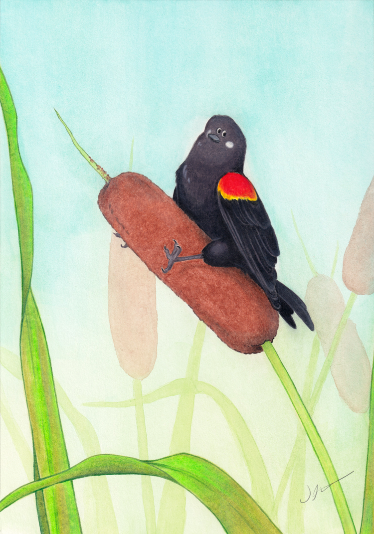 Bird's got your Tail - Image 2