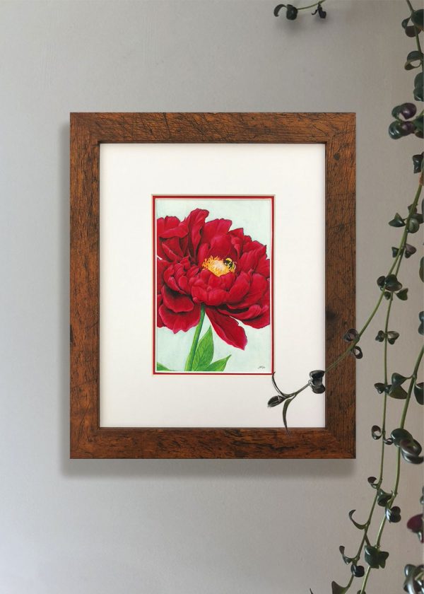 Red Peony and Bumblebee
