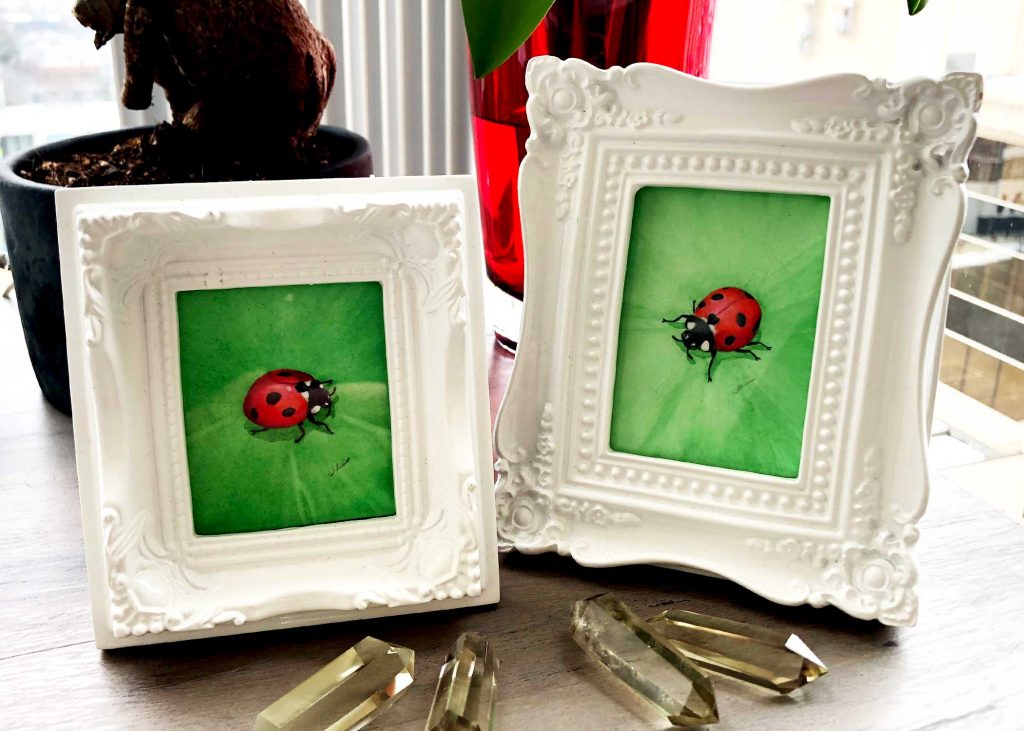 Ladybug Paintings